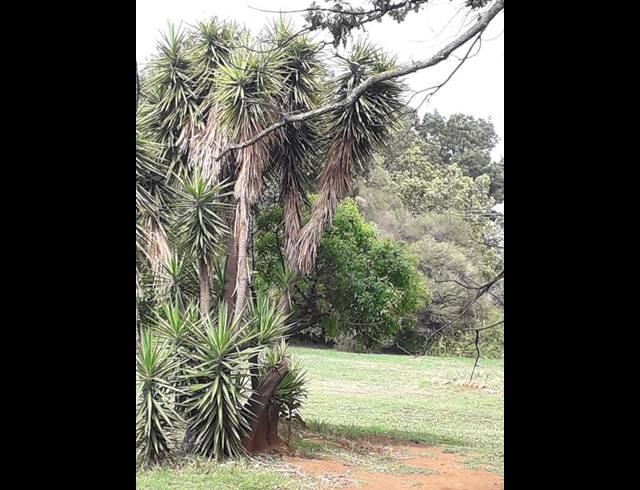 FARM FOR SALE IN RIETVALLEIRAND